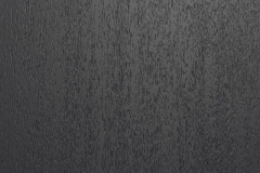 RGS1-Register Emboss 1